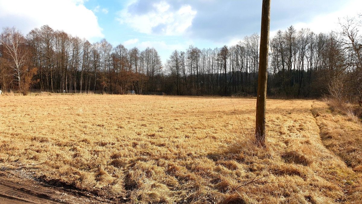Działka budowlana Ciepłe, ul. Cichej Wody. Zdjęcie 2
