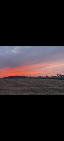 Działka budowlana Tarchalin, Wewnętrzna. Zdjęcie 7