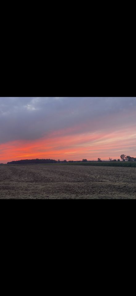 Działka budowlana Tarchalin, Wewnętrzna. Zdjęcie 7