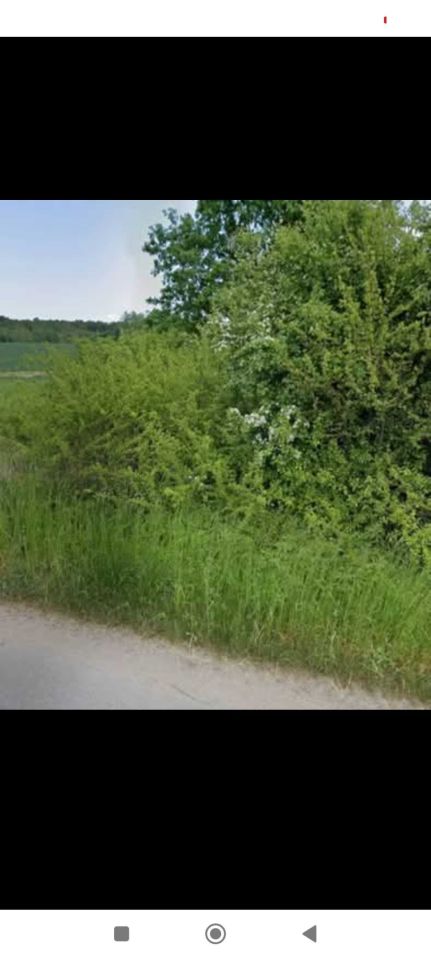 Działka rolno-budowlana Tulice. Zdjęcie 2