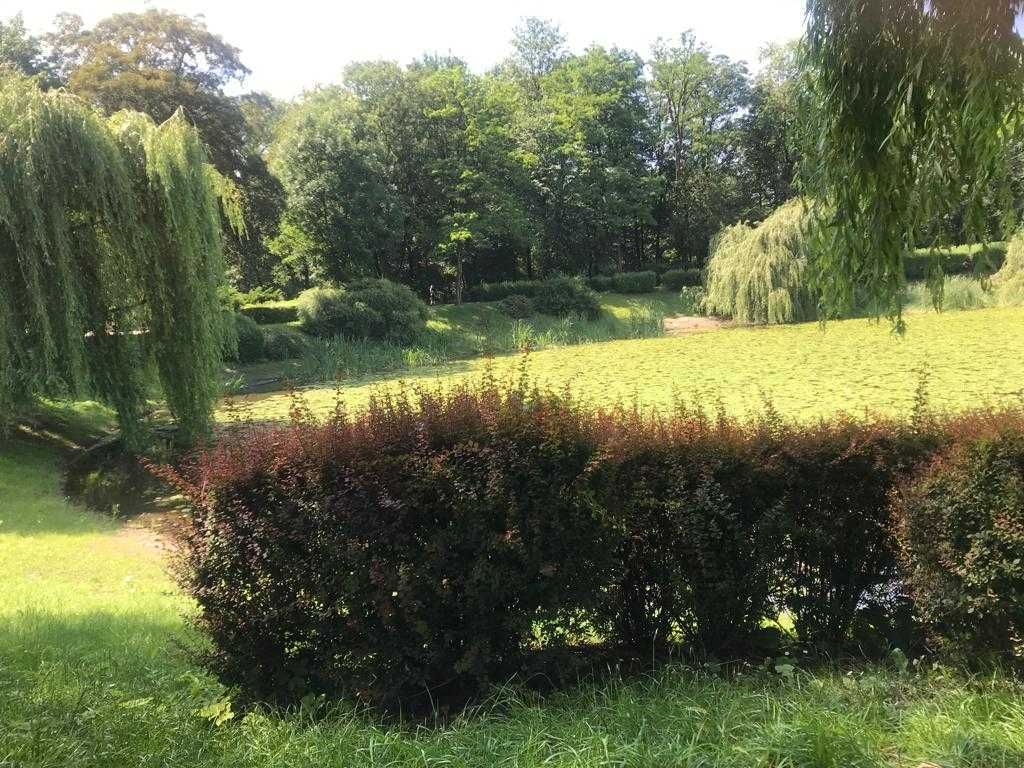 Mieszkanie 1-pokojowe Chorzów Klimzowiec, ul. Józefa Ryszki. Zdjęcie 2