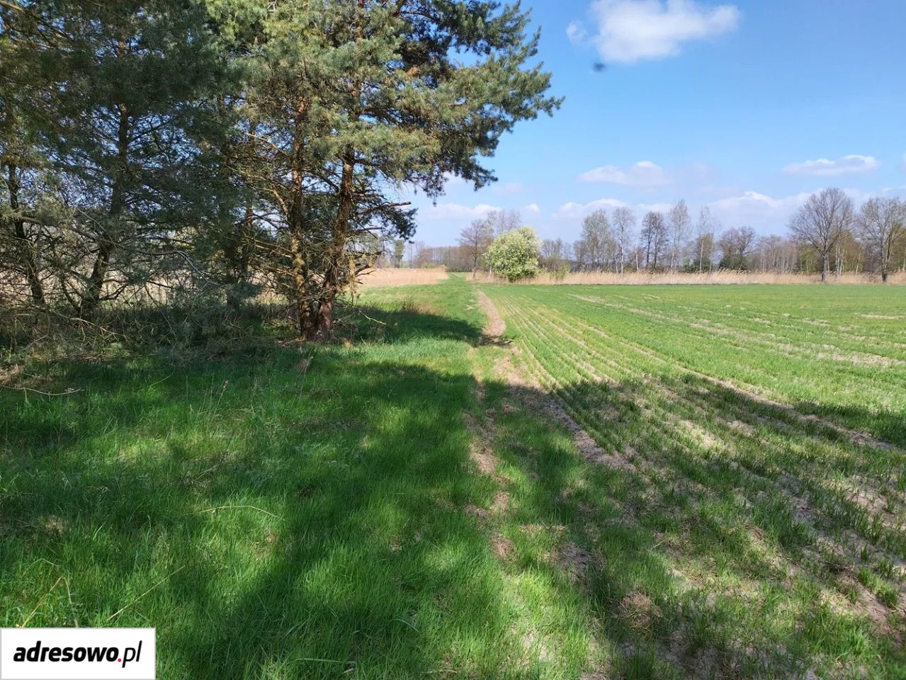 Działka rekreacyjna Karłowice. Zdjęcie 10