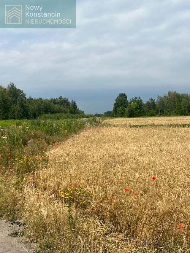 Działka budowlana Konstancin-Jeziorna, ul. Bukowa. Zdjęcie 5