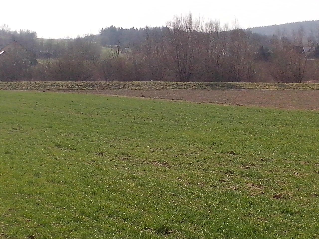 Działka budowlana Grabie. Zdjęcie 2