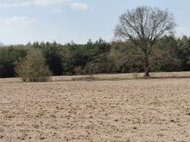 Działka rolna Łomy. Zdjęcie 4