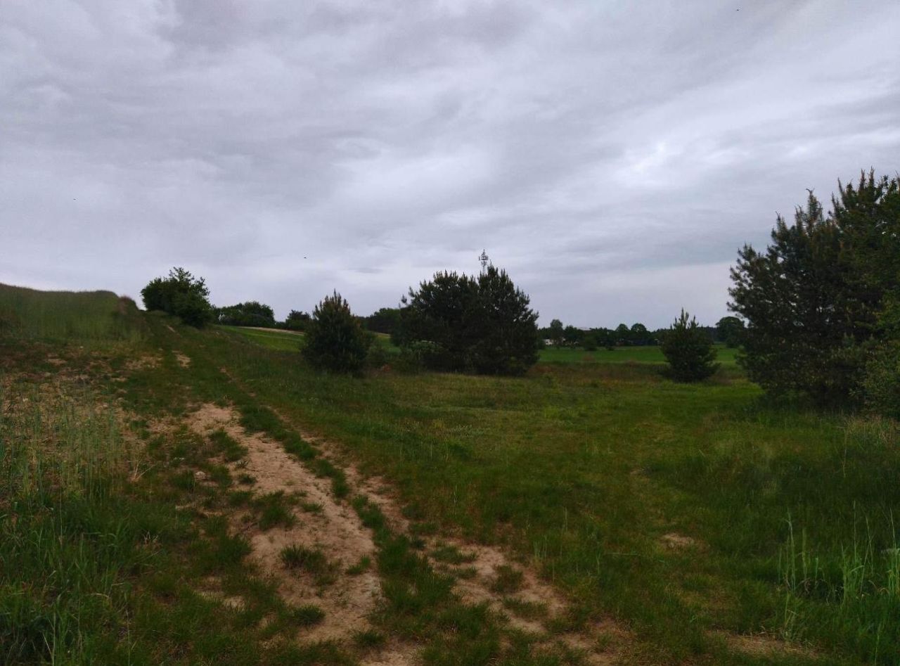 Działka rolna Świerczyna. Zdjęcie 4