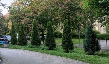 Mieszkanie 2-pokojowe Katowice Koszutka, ul. Michała Grażyńskiego