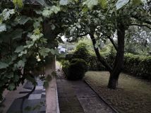 Działka rod Gniezno, ul. Górna. Zdjęcie 1