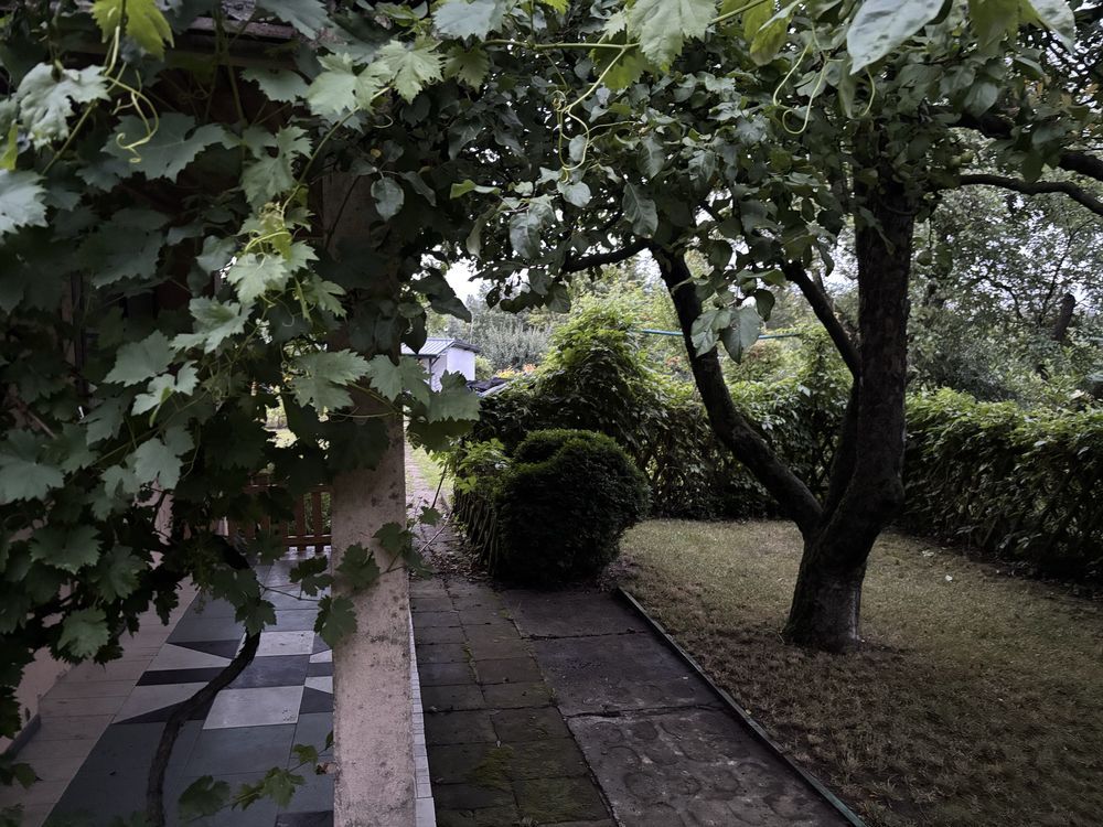 Działka rod Gniezno, ul. Górna. Zdjęcie 2