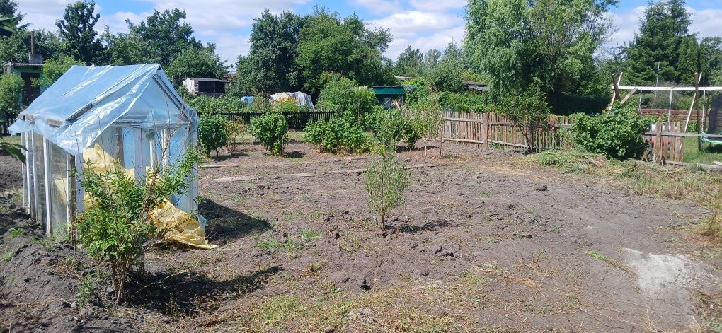 Działka rod Międzyrzecz. Zdjęcie 3