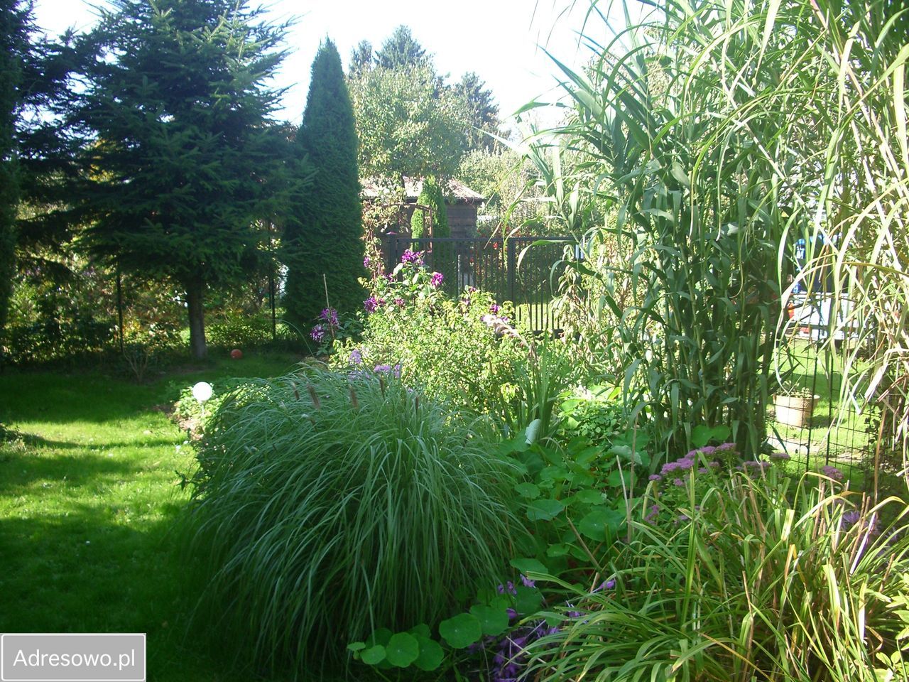 Działka rod Warszawa Mokotów, ul. Dłutowska. Zdjęcie 8