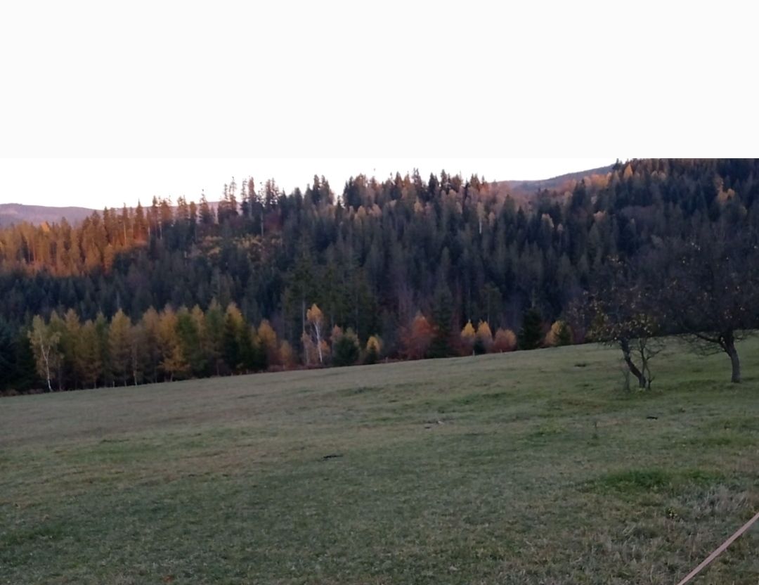 Działka rolno-budowlana Wisła Czarne, os. Bobrów. Zdjęcie 5