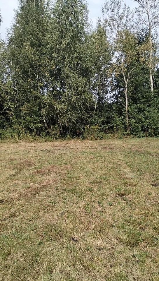 Działka inwestycyjna Rogóźno. Zdjęcie 5