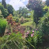 Działka rod Wrocław Krzyki, ul. Bardzka. Zdjęcie 4