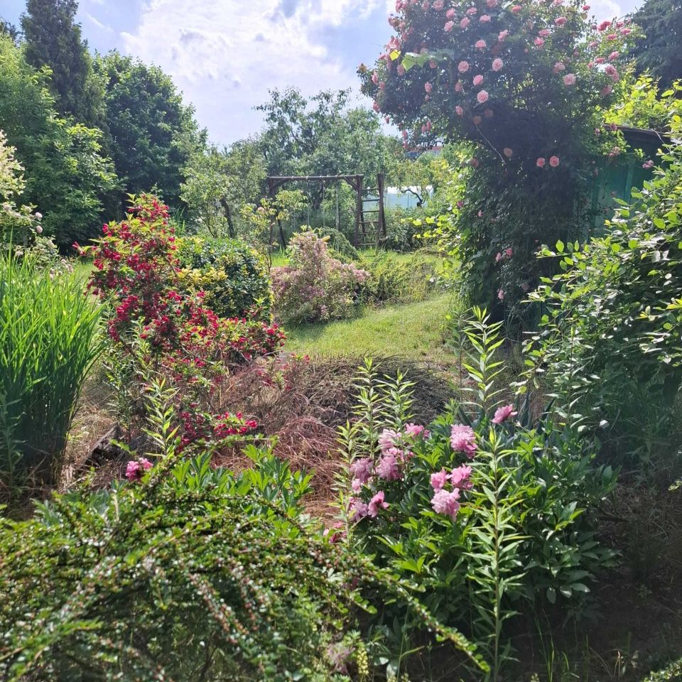 Działka rod Wrocław Krzyki, ul. Bardzka. Zdjęcie 5