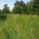 Działka budowlana Łochów, ul. Modrzewiowa. Zdjęcie 6