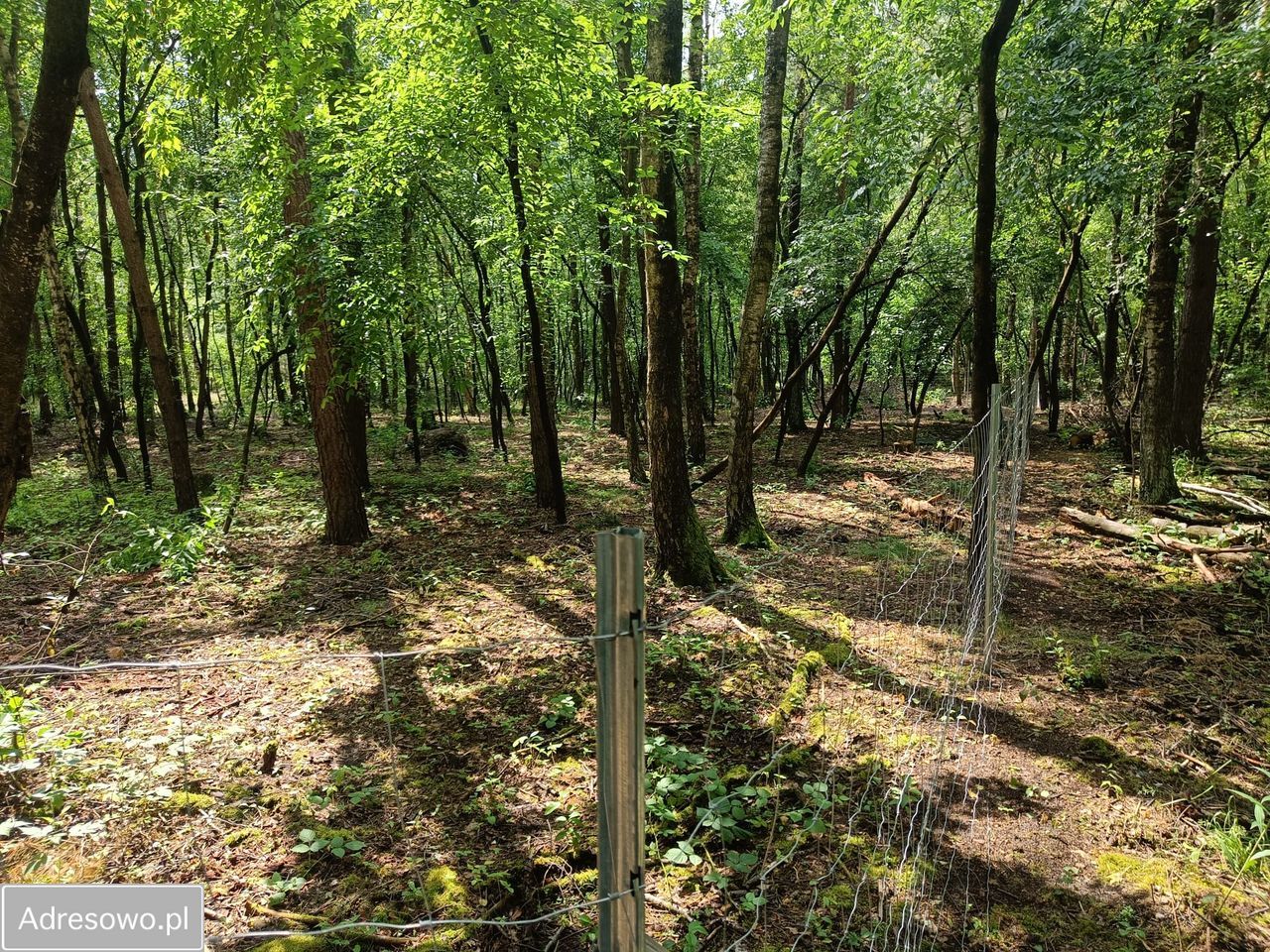Działka budowlana Ostrowina. Zdjęcie 11