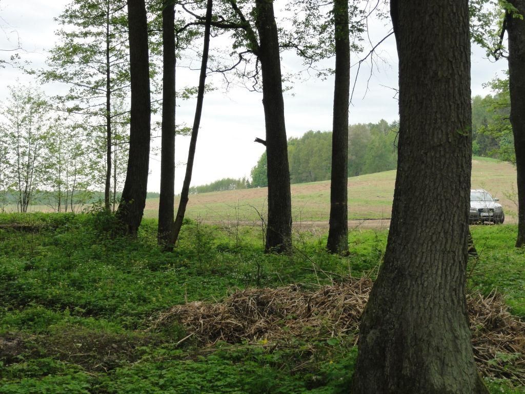 Działka budowlana Dziśnity. Zdjęcie 2