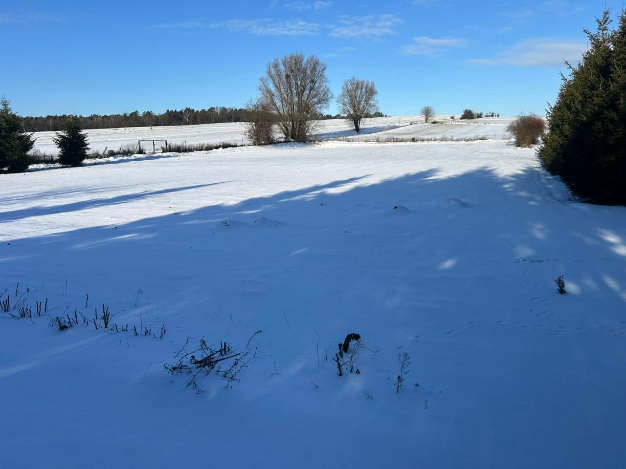 Działka rolno-budowlana Krasnystaw Krakowskie Przedmieście, ul. Bojarskiego. Zdjęcie 3