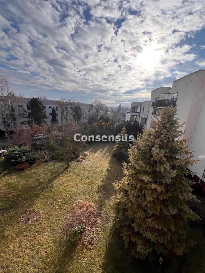 Mieszkanie 4-pokojowe Katowice Brynów. Zdjęcie 17