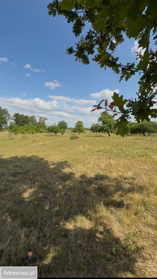 Działka siedliskowa Bałdrzychów. Zdjęcie 7