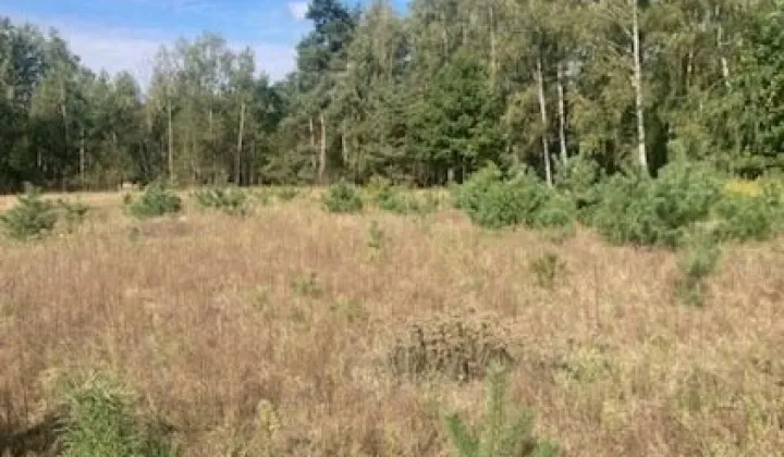 Działka budowlana Joniec