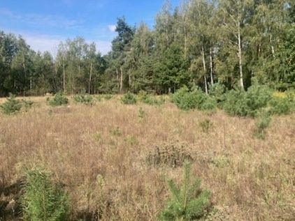 Działka budowlana Joniec. Zdjęcie 1