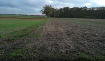 Działka budowlana Czekanów