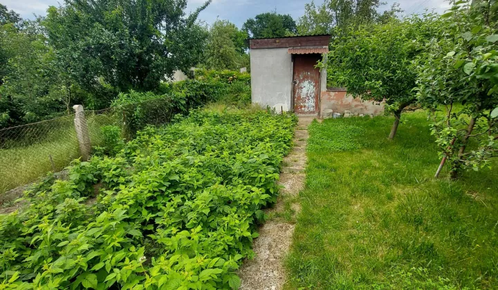 Działka rod Nowa Sól, ul. Ceglana