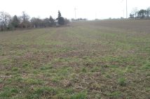 Działka budowlana Margońska Wieś. Zdjęcie 3