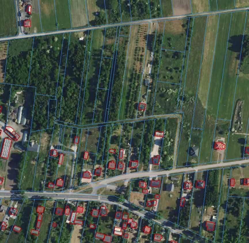 Działka budowlana Żarnów, ul. Wiatrakowa. Zdjęcie 3