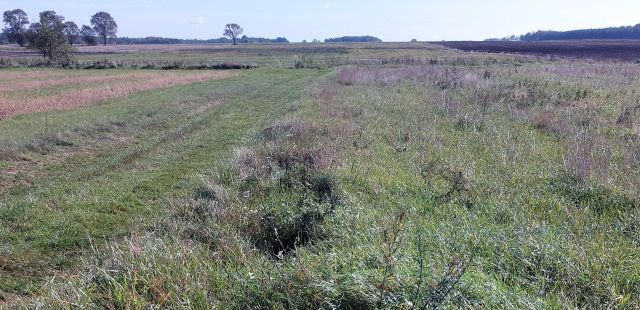 Działka budowlana Ortel Królewski Pierwszy. Zdjęcie 1