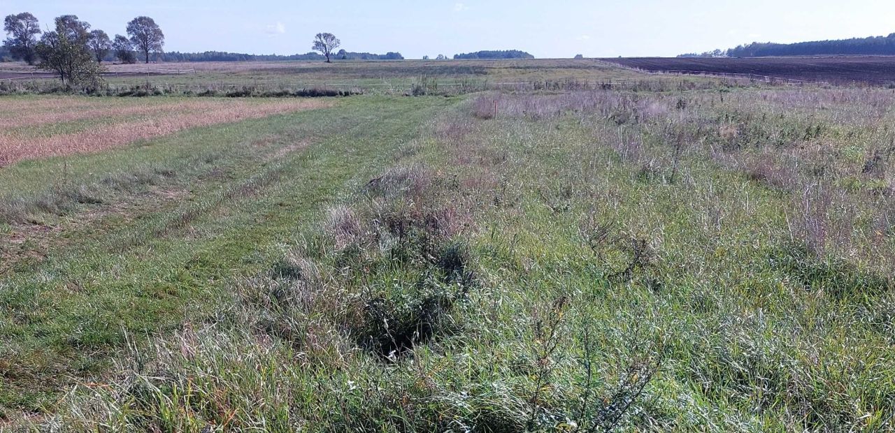 Działka budowlana Ortel Królewski Pierwszy