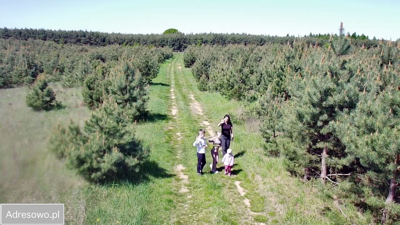 Działka rolno-budowlana Laski Lubuskie. Zdjęcie 8