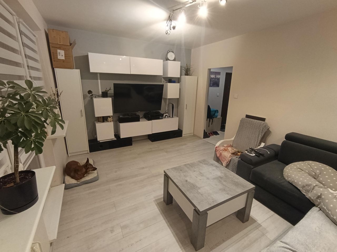 Mieszkanie 2-pokojowe Łódź Retkinia, ul. Armii Krajowej. Zdjęcie 2