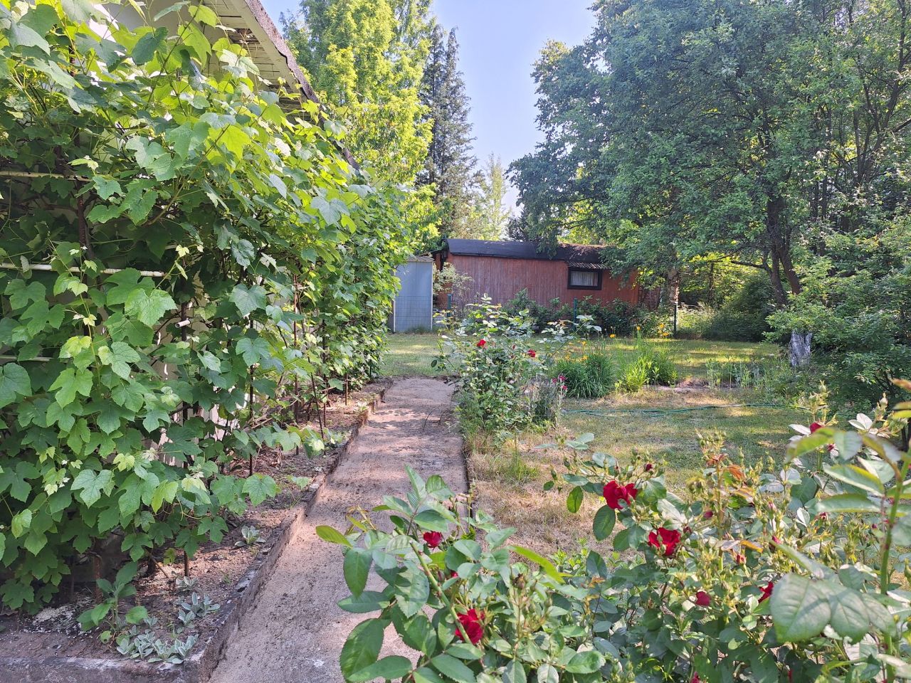 Działka rod Świdnica Łochowo, ul. Wypoczynek. Zdjęcie 4