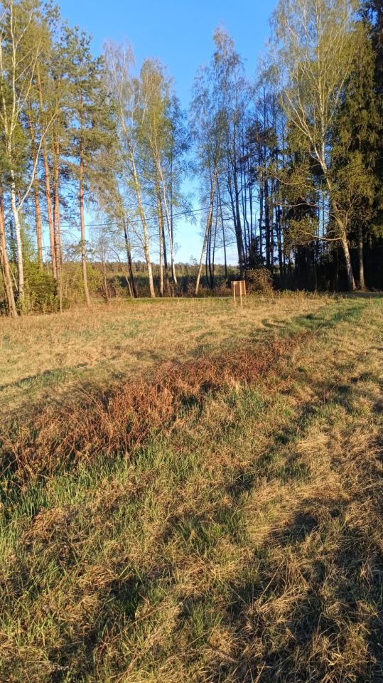 Działka rolna Bór. Zdjęcie 1