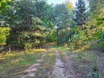 Działka rolno-budowlana Borszyce. Zdjęcie 1