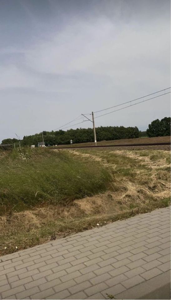 Działka rolno-budowlana Gałęzinowo. Zdjęcie 7