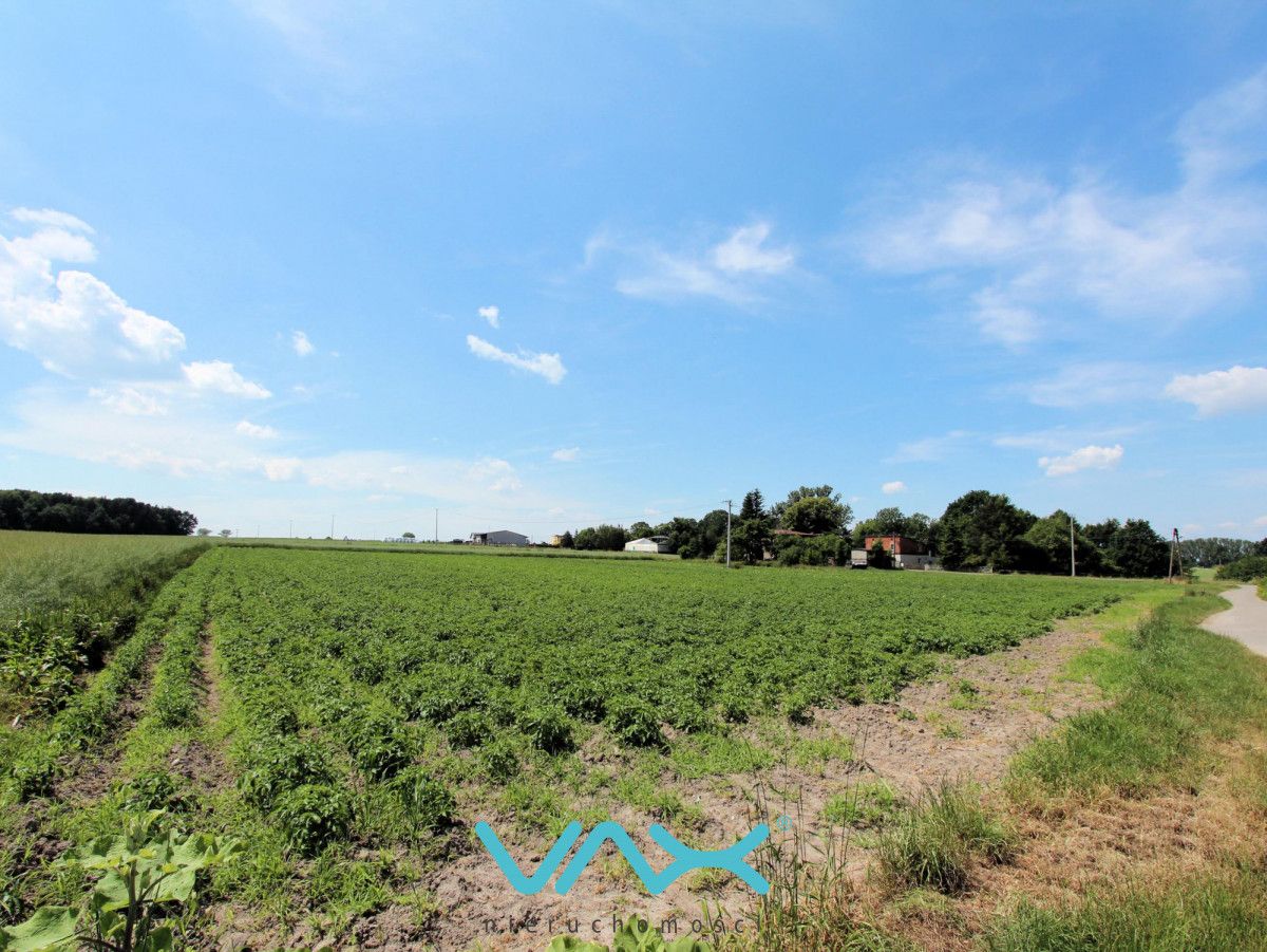Działka budowlana Mikołów Bujaków, ul. Sośnia Góra. Zdjęcie 1