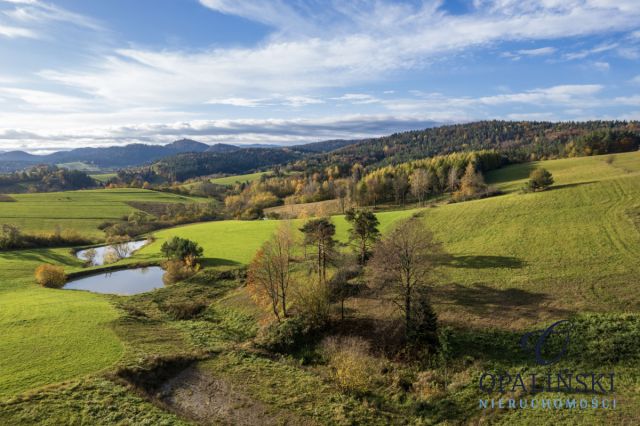 Działka inwestycyjna Kiełczawa. Zdjęcie 11