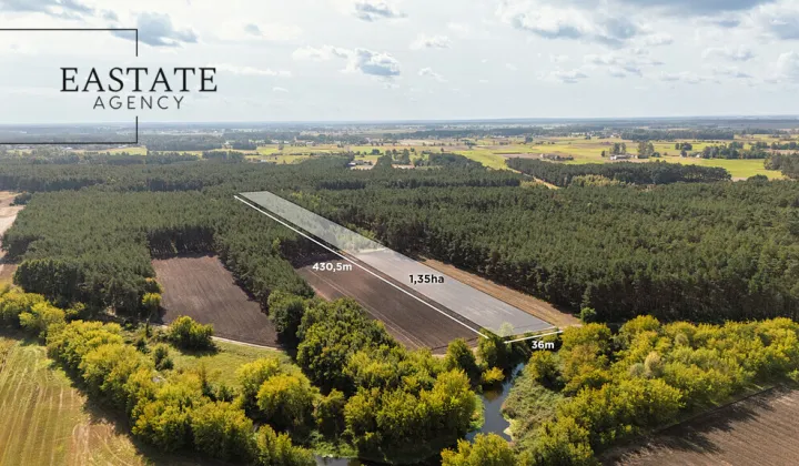 Działka leśna Maurzyce