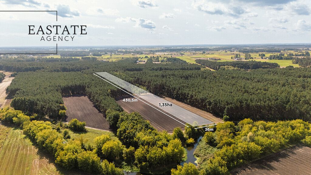 Działka leśna Maurzyce. Zdjęcie 1
