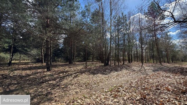 Działka budowlana Ignacówka Bobrowska. Zdjęcie 1