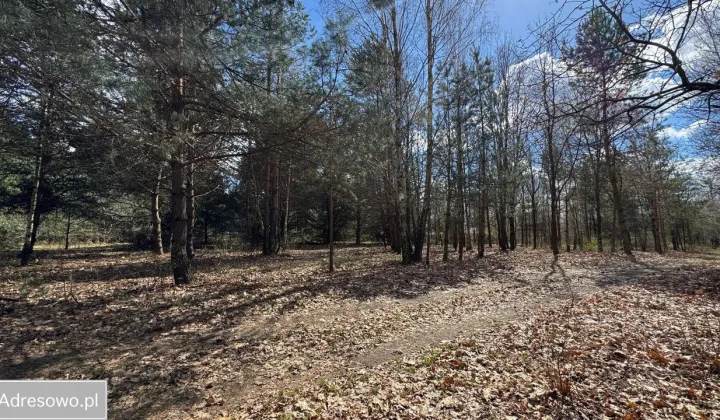 Działka budowlana Ignacówka Bobrowska