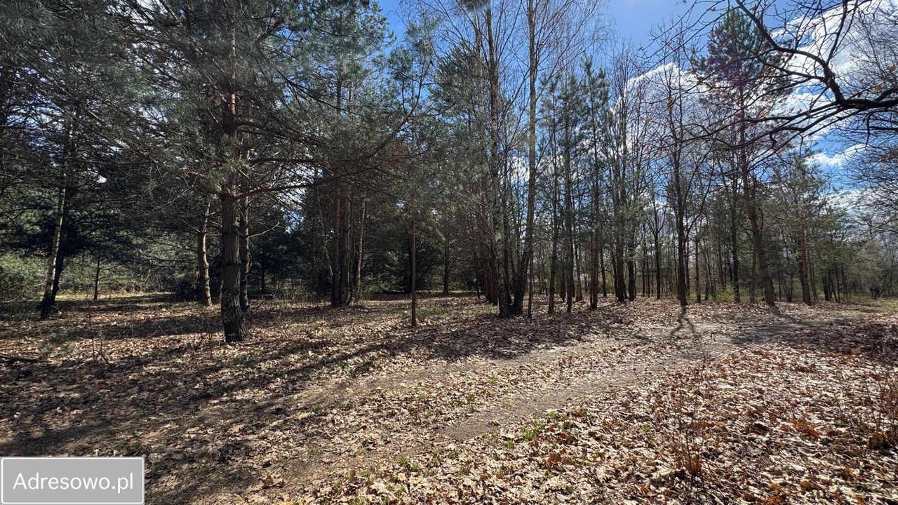 Działka budowlana Ignacówka Bobrowska. Zdjęcie 1