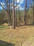 Działka rod Toruń. Zdjęcie 2