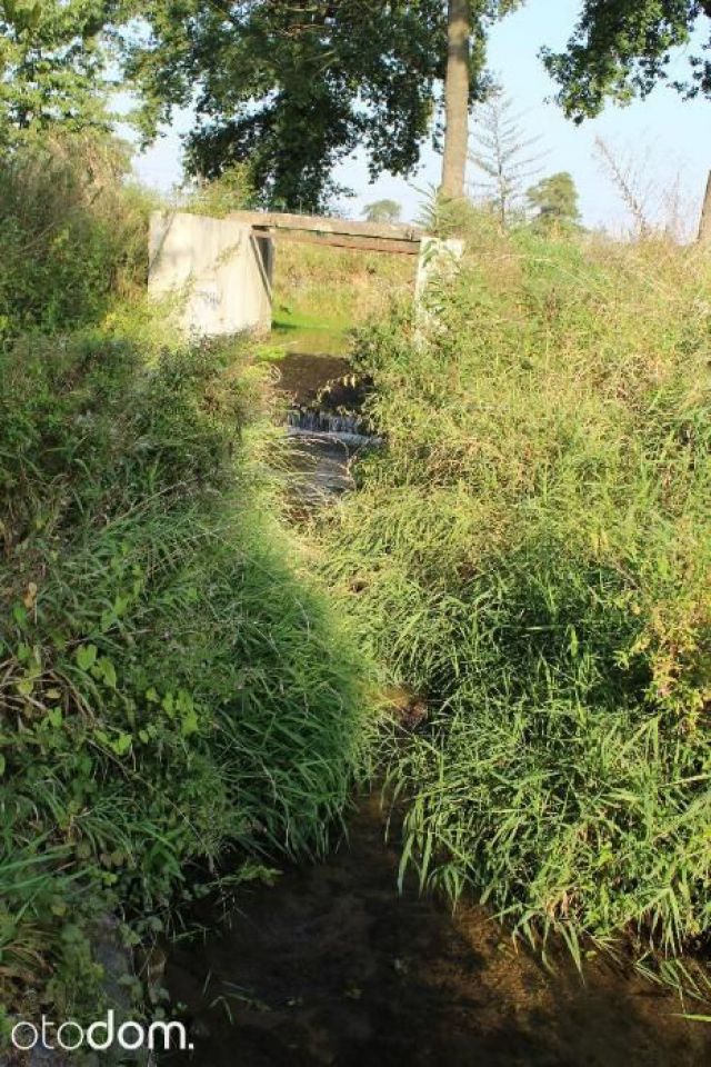 gospodarstwo Januszkowice. Zdjęcie 7