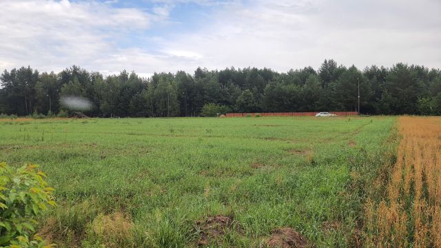 Działka rolno-budowlana Ploski. Zdjęcie 1