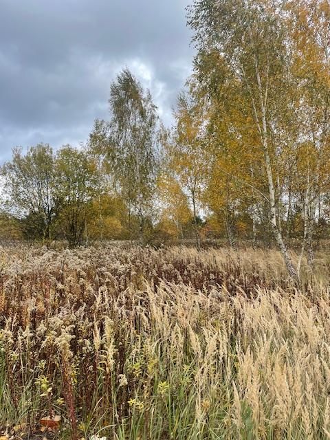 Działka budowlana Wola Mrokowska, ul. Ogrodowa. Zdjęcie 3